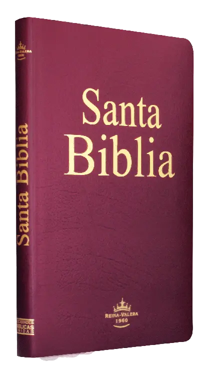 Biblia Reina Valera 1960 Mediana Letra Mediana Imitación Piel Vino Ultrafina [RVR065e]