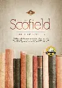 RVR 1960 Biblia de estudio Scofield, verde oscuro/castaño símil piel con índice