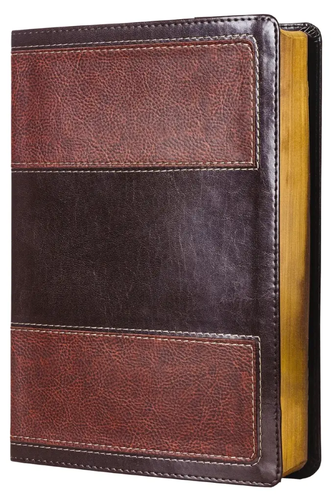 Biblia de estudio de la vida plena RVR 1960, leathersoft, italian, duo-tono, café