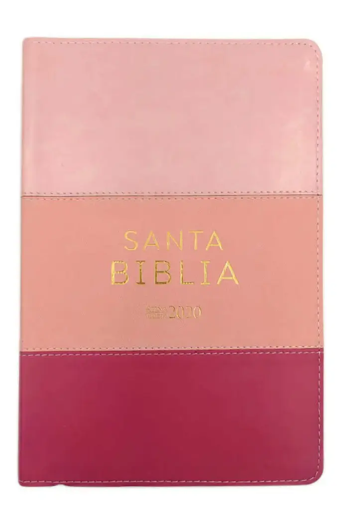 Biblia Reina Valera 2020, tamaño manual, Letra Grande 12 puntos, Colección TriColor Rosa