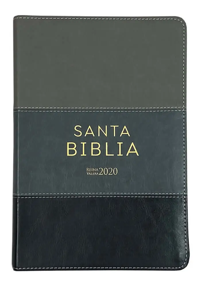 Biblia Reina Valera 2020, tamaño manual, Letra Grande 12 puntos, Colección TriColor Gris claro/Gris Oscuro/Negro