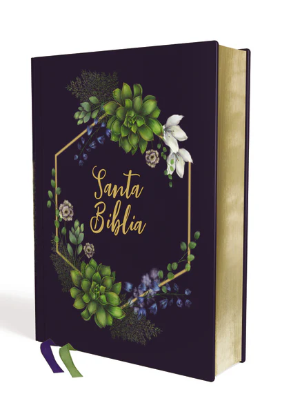 NVI, Santa Biblia, Texto revisado 2022, Letra Gigante, Palabras de Jesús en Rojo, Comfort Print, Pasta Dura