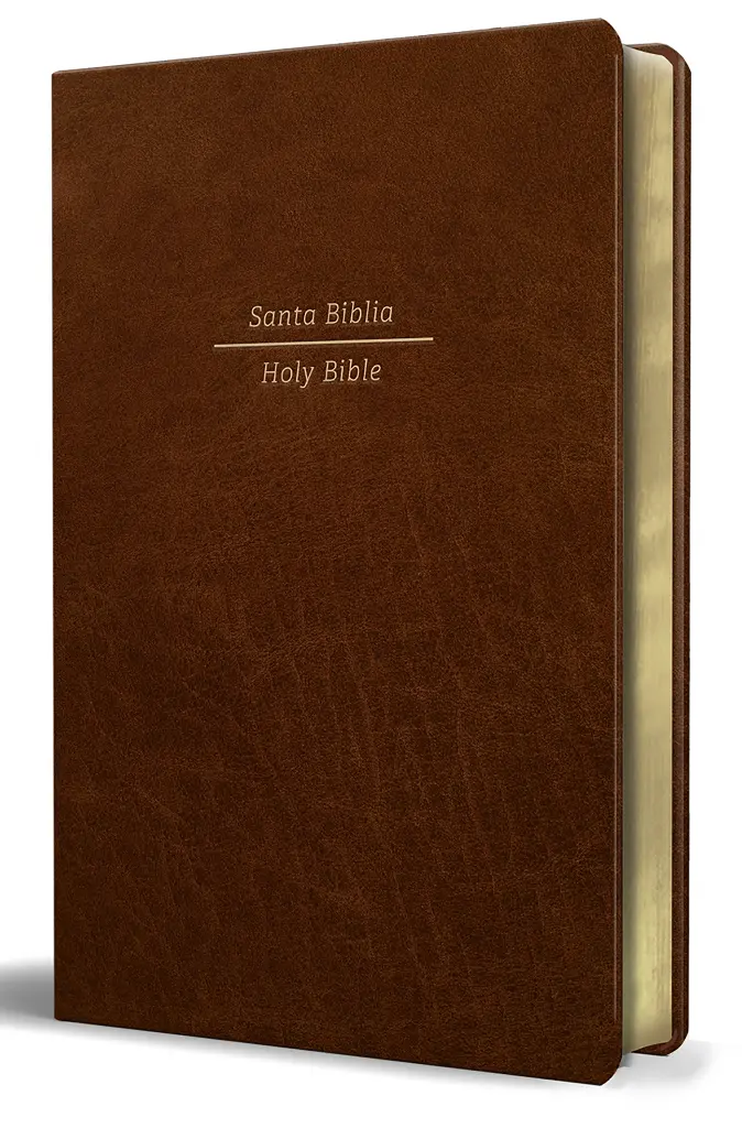 Biblia Bilingüe Reina Valera 1960/ESV Tamaño grande piel marrón