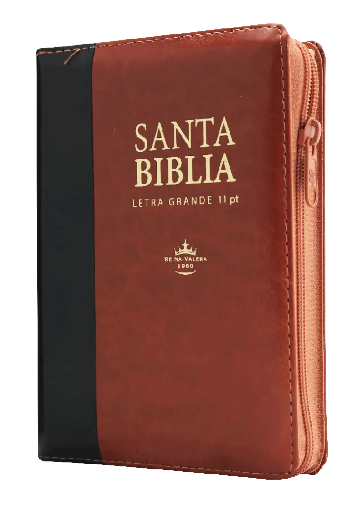 Biblia Reina Valera 1960 Letra Grande Marrón/Negro [RVR046cLSGiPJRZTI]