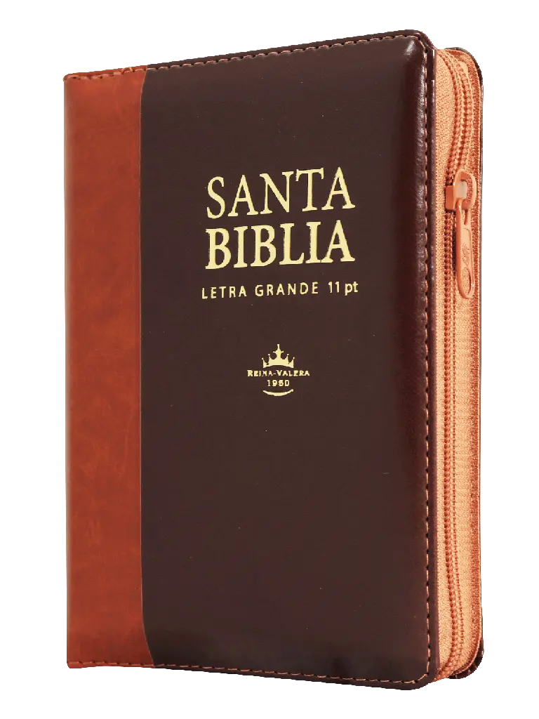 Biblia Reina Valera 1960 Letra Grande Café/Marrón [RVR046cLSGiPJRZTI]