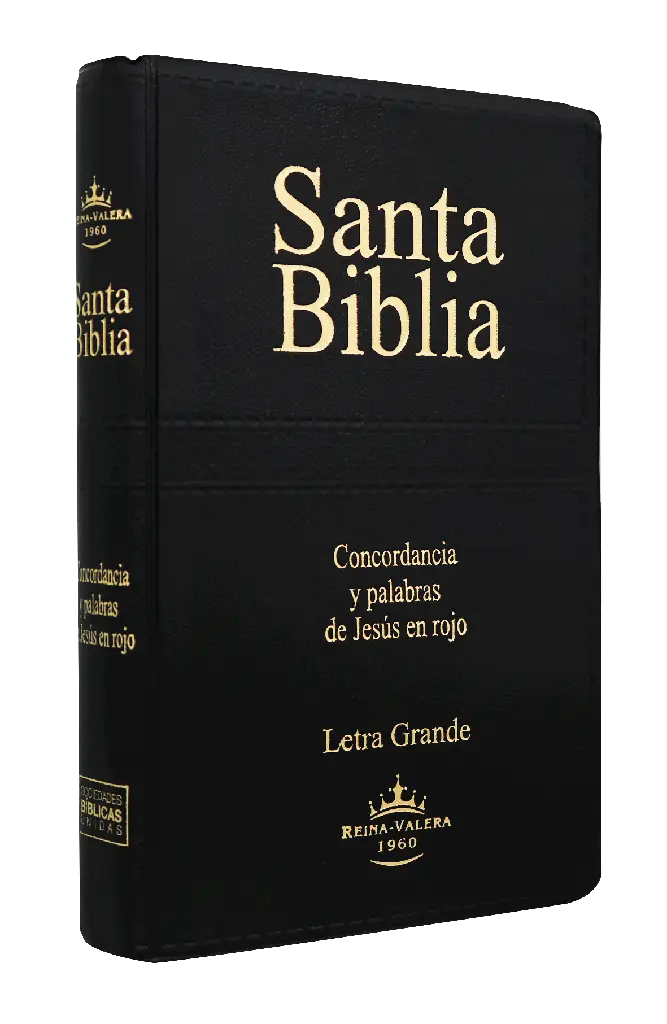 Biblia Reina Valera 1960 Letra Grande Negro [RVR062CLGPJR]