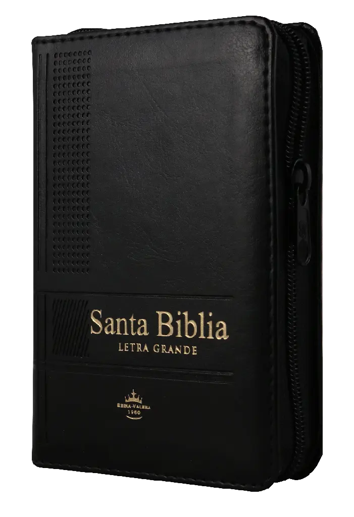 Biblia Reina Valera 1960 Tamaño Bolsillo Letra Grande Imitación Piel Negro (RVR26cLSGiPJRZTI)
