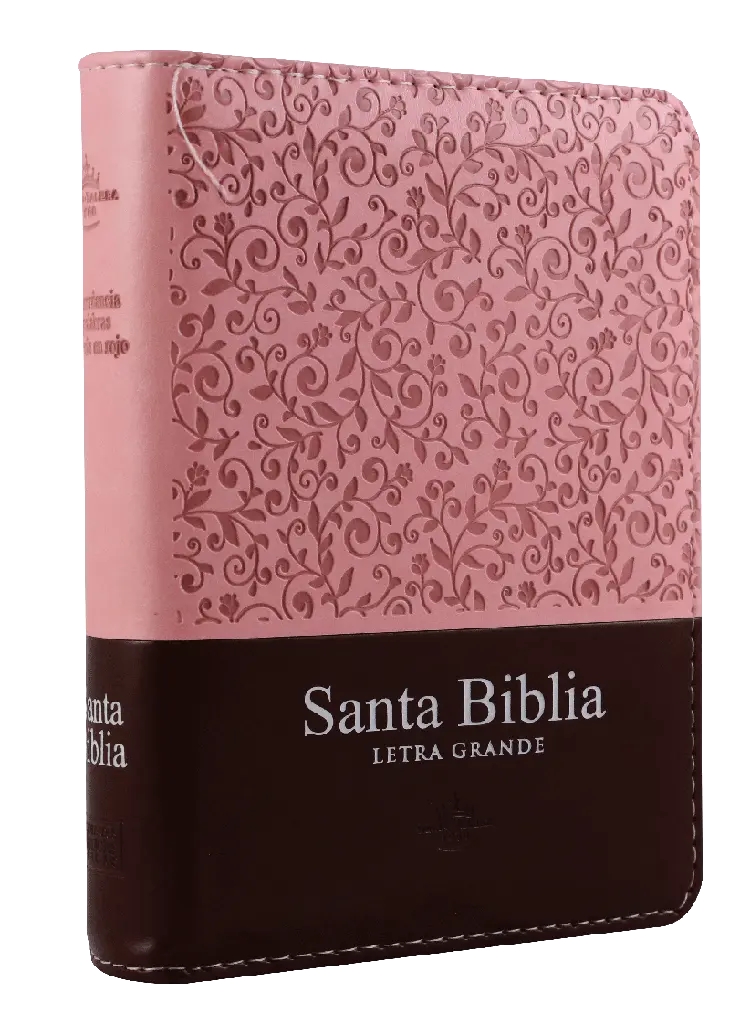 Biblia Reina Valera 1960 Tamaño Bolsillo Letra Mediana Imitación Piel Rosa Marrón (RVR26cLSGiPJRZTI)