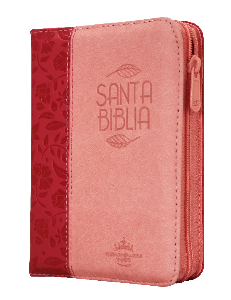 Biblia Reina Valera 1960 Bolsillo Letra Chica Imitación Piel Fucsia QR [RVR026cZTILM PJR]