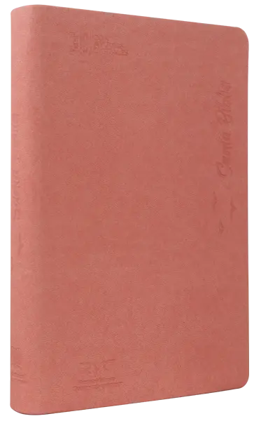 Biblia Reina Valera Contemporánea Mediana Letra Grande Imitación Piel Rosa QR [RVC066cLG PJR]