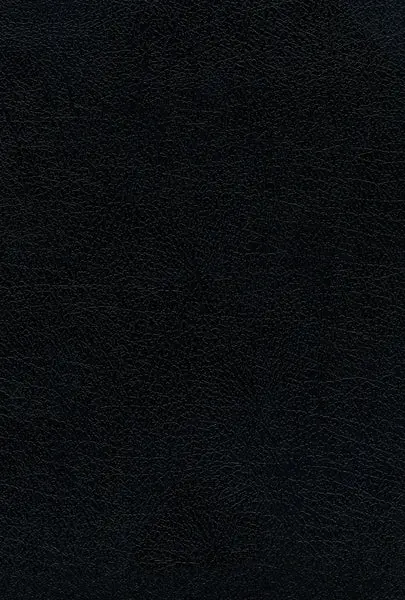 Reina Valera 1960 Santa Biblia Ultrafina Letra Grande, Negro, Interior a dos colores