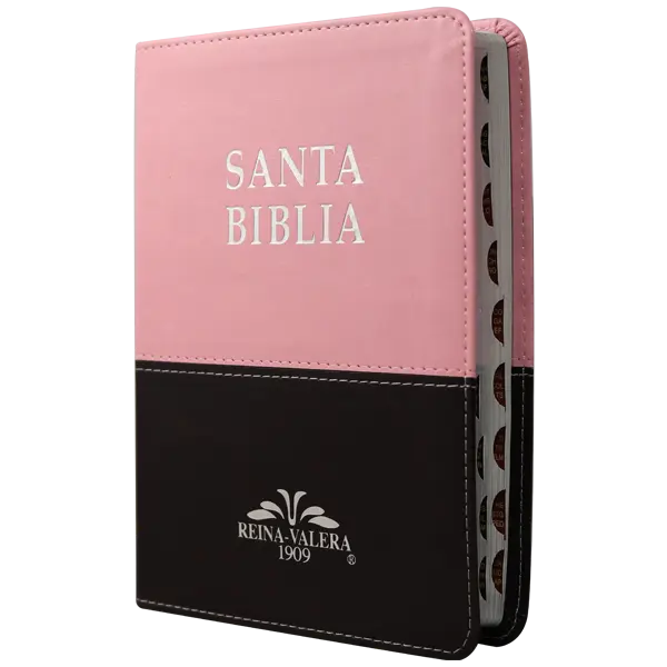 Biblia Reina Valera 1909 Mediana Rosa/Café VR055TI