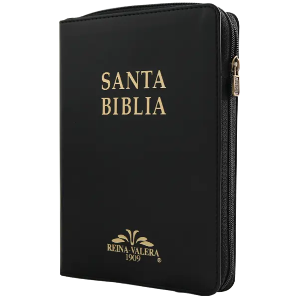 Biblia Reina Valera 1909 Mediana Negro VR055ZTI