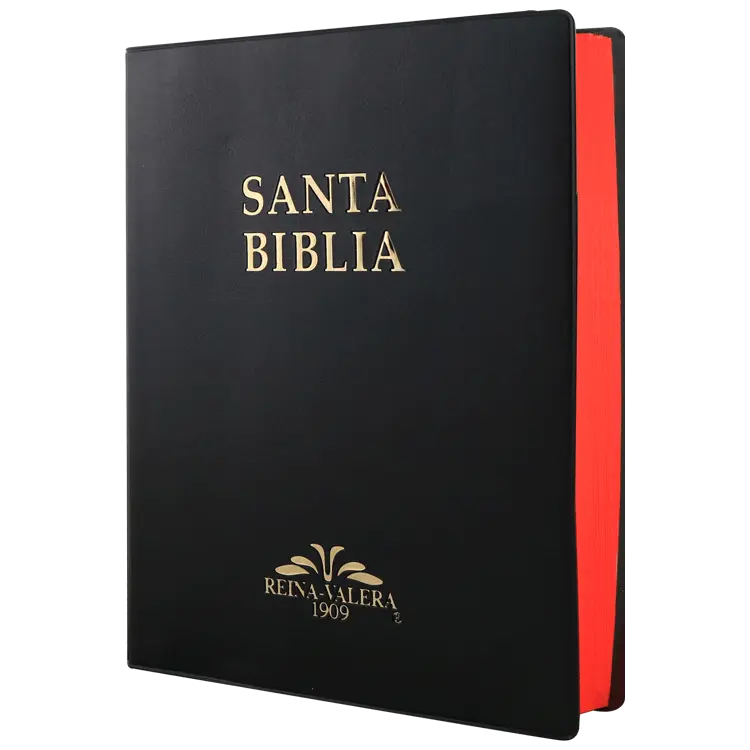 Biblia Reina Valera 1909 Grande Negro [VR082LM]