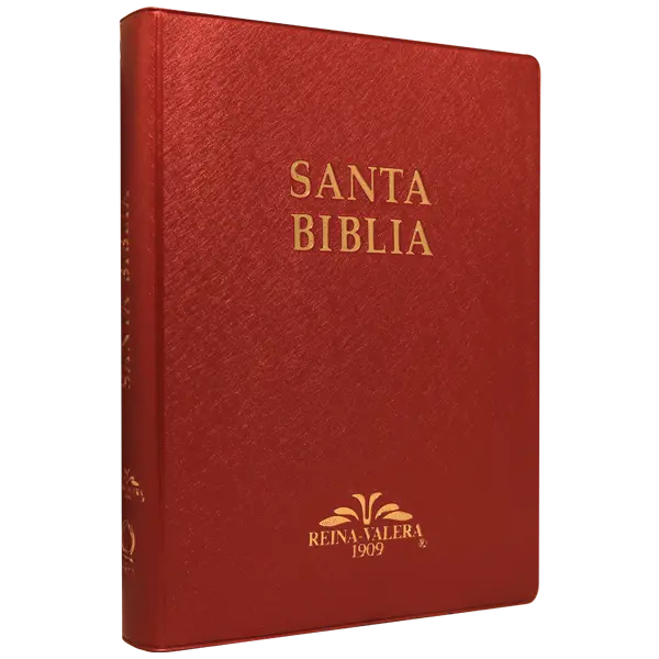 Biblia Reina Valera 1909 Grande Vino [VR082LM]