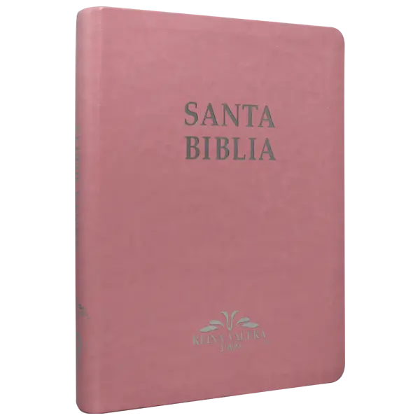 Biblia Reina Valera 1909 Grande Rosa [VR085LM]