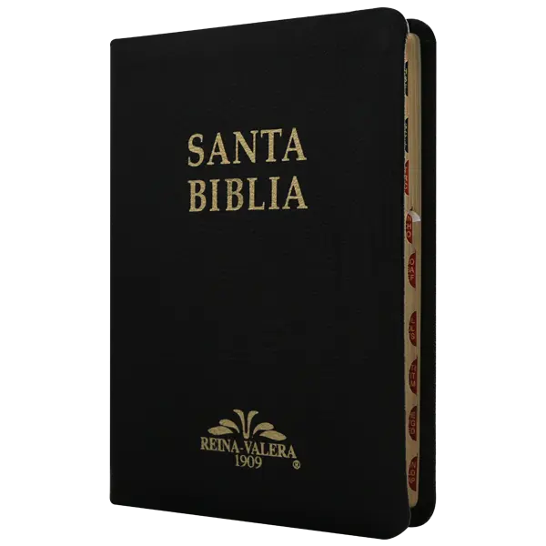 Biblia Reina Valera 1909 Mediana Negro [VR059TI]