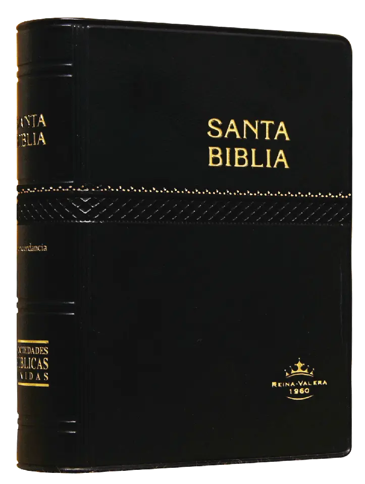 Biblia Reina Valera 1960 Tamaño Bolsillo Letra Chica Vinil Negro [RVR022]