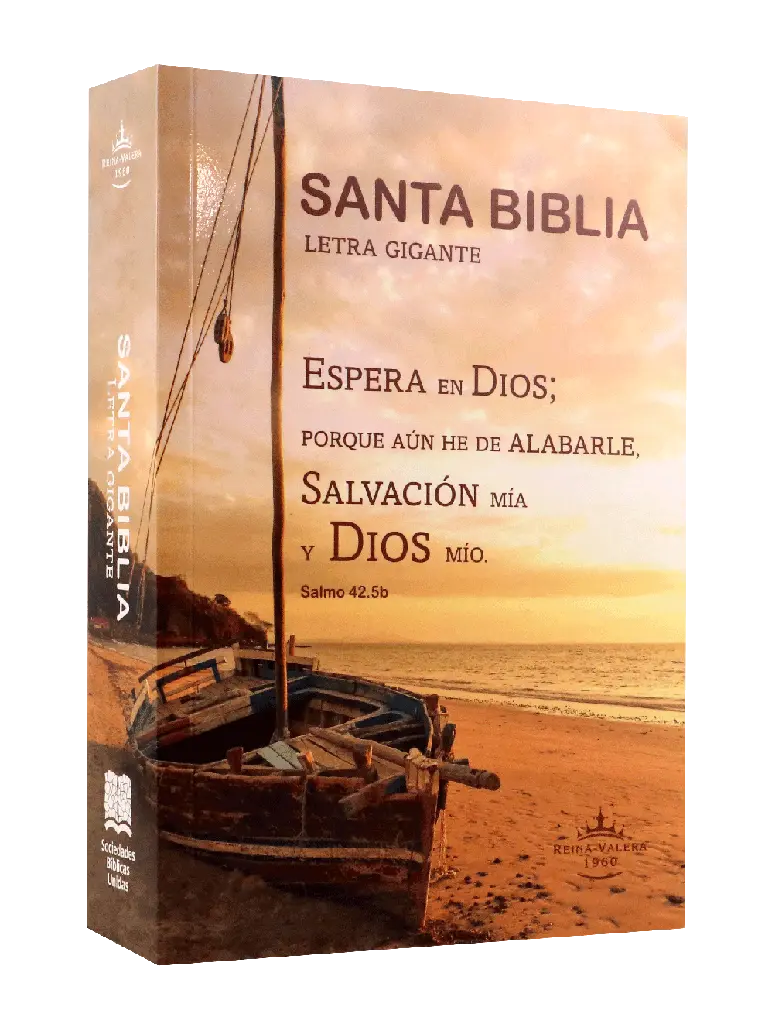 Biblia Reina Valera 1960 Mediana Letra Gigante Rústica (RVR60ecLGiPJR)
