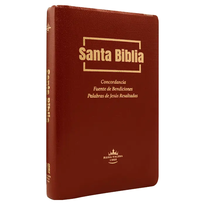 Biblia Fuente de Bendiciones Reina Valera 1960 Mediana Letra Mediana Imitación Piel Vino [RVR.65uecFBPJR]