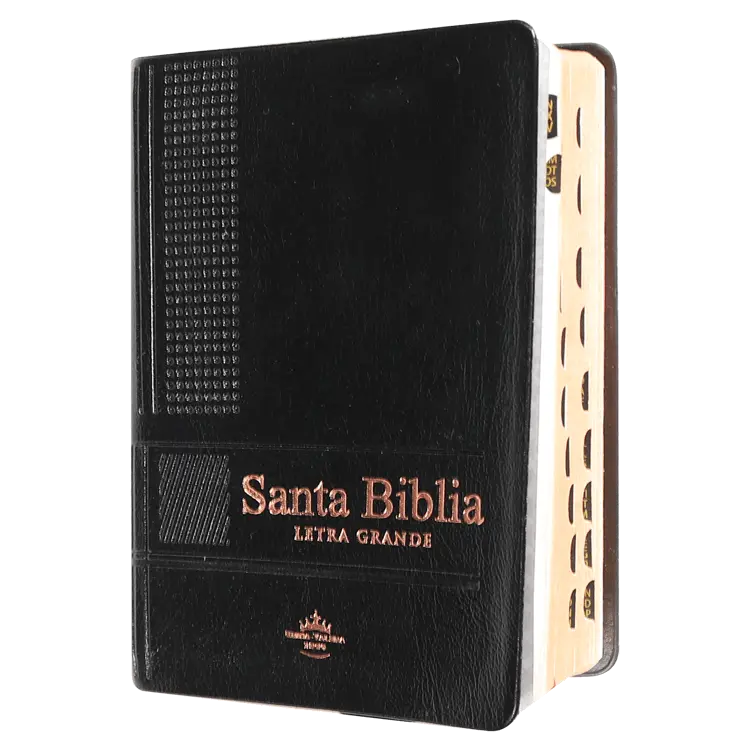 Biblia Reina Valera 1960 Chica Letra Mediana Vinil Negra [RVR.22cTILGPJR]