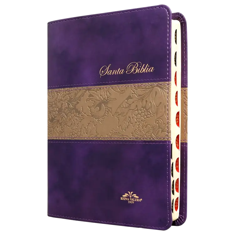 Biblia Reina Valera 1909 Mediana Letra Mediana Imitación Piel Morado Duotono [VR055TI]