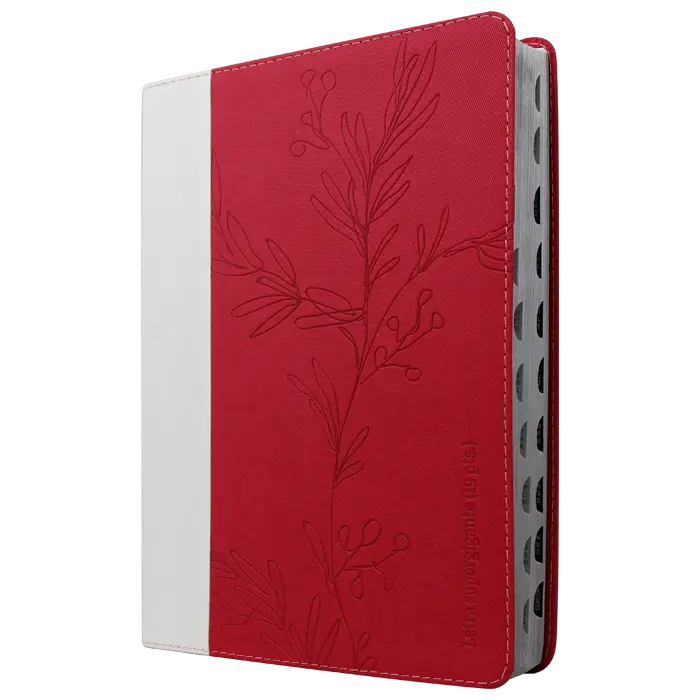 Biblia Reina Valera 1960 Grande Letra Super Gigante Imitación Piel Fucsia Código QR [RVR086cTILSGiPJR]