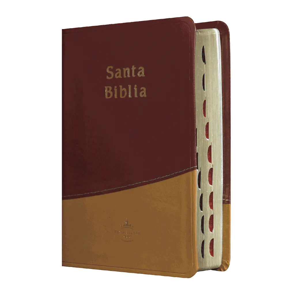 Biblia Reina Valera 1960 Chica Letra Mediana Imitación Piel Mostaza Naranja [RVR045cTI]