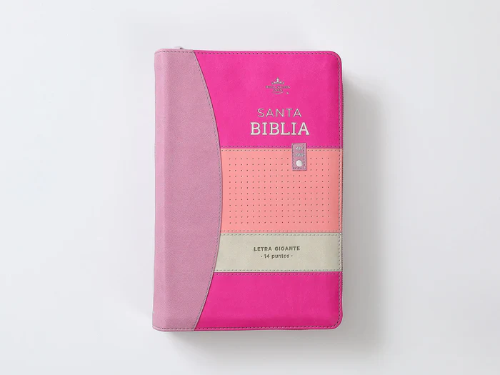 Biblia RVR60 068 czti Colección Iconic Lila/rosa/morado Tamaño Manual