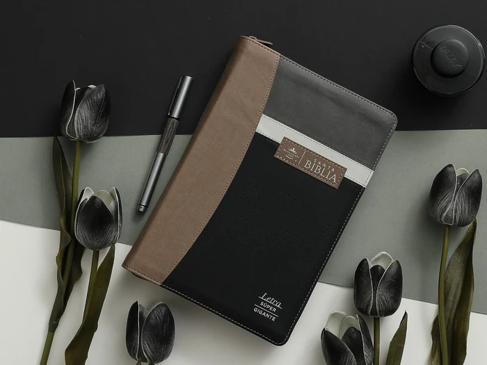 Biblia RVR60 088czti LSGi Tech Dot Negro/café/Beige tamaño Grande