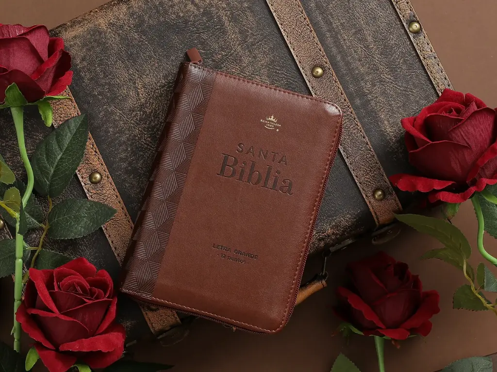 Biblia RVR60 035cz PJR imitación piel café geométrico Tamaño Compact