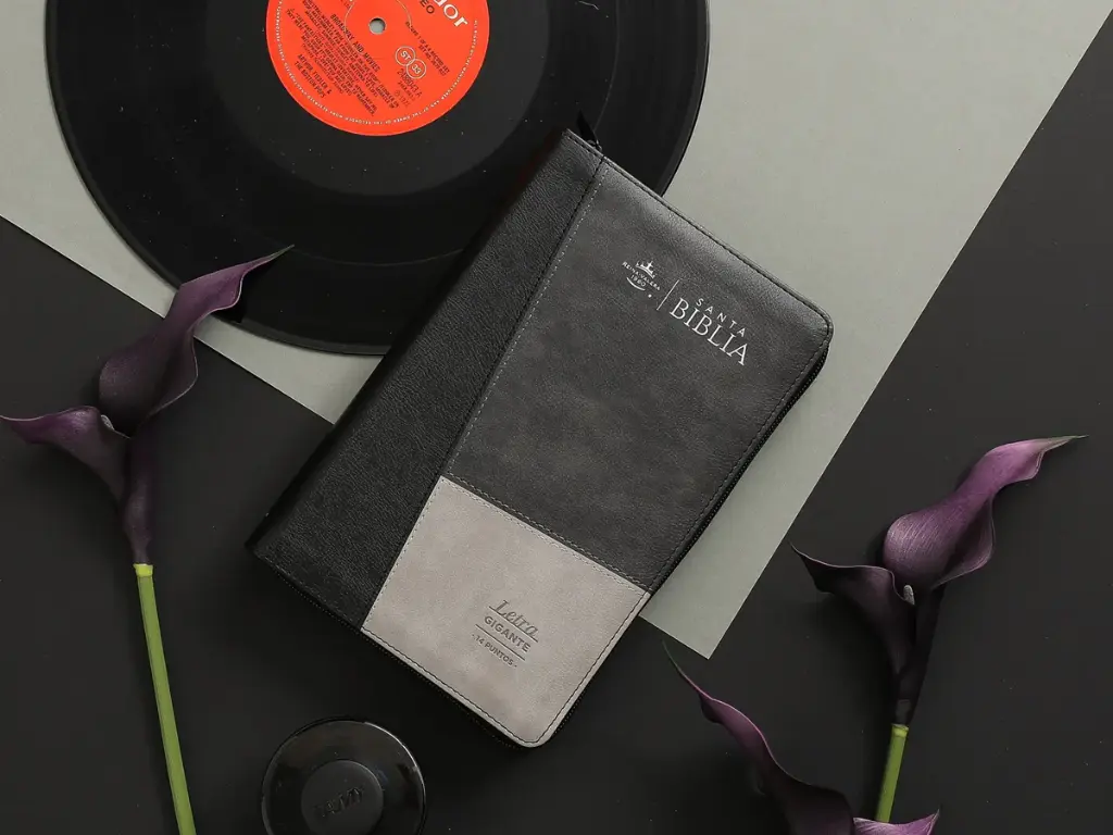 Biblia RVR60 068 czti Colección Iconic negro/gris/gris Tamaño Manual