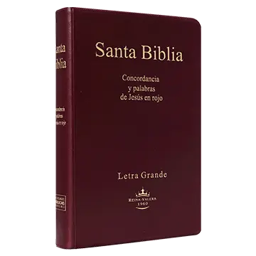 Biblia Reina Valera 1960 Mediana Letra Grande Vinil Vino [RVR062cLGPJR]