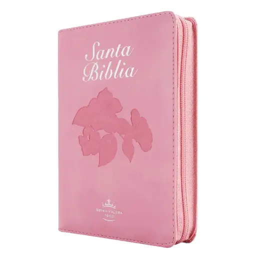 Biblia Fuente de Bendiciones Reina Valera 1960 Chica Letra Mediana Imitación Piel Rosa [RVR046cLMFBTIZ]