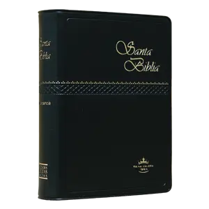 Biblia Reina Valera 1960 Tamaño Bolsillo Letra Chica Vinil Negro [RVR022c]