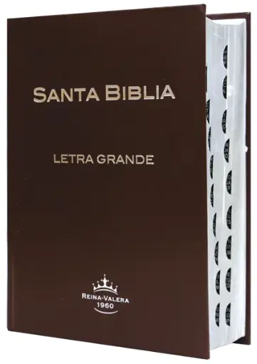 Biblia Reina Valera 1960 Mediana Letra Grande Tapa Dura Café [RVR053CTILGPJR]