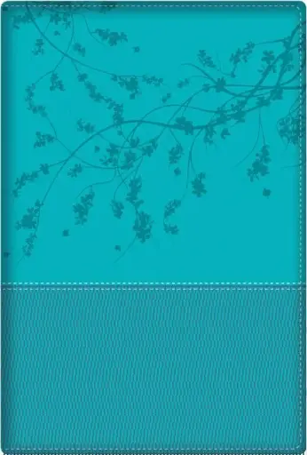 Biblia de la mujer conforme al corazón de Dios RVR60 - Aqua