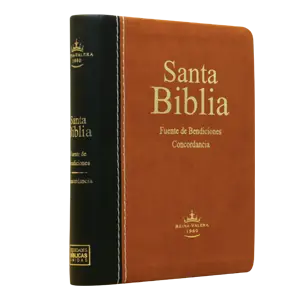 Biblia Fuente de Bendiciones Reina Valera 1960 Chica Letra Mediana Imitación Piel Marrón Negro [RVR045cFB]
