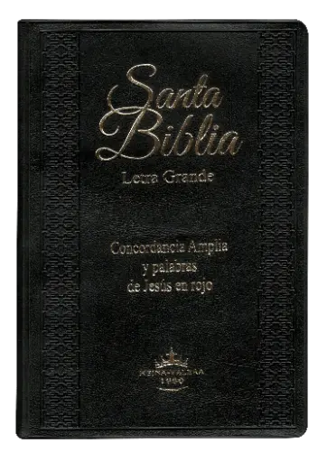 Biblia Reina Valera 1960 Mediana Letra Grande Vinil Negro [RVR052CLGPJRTI]