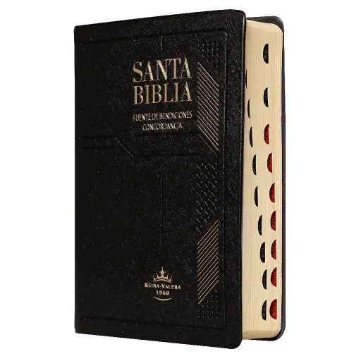 Biblia Fuente de Bendiciones Reina Valera 1960 Chica Letra Mediana Vinil Negro [RVR042cLMFBTI]