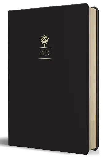 Biblia Reina Valera 1960 letra grande en caja de regalo. Símil piel, dos tonos, fotos de Tierra Santa