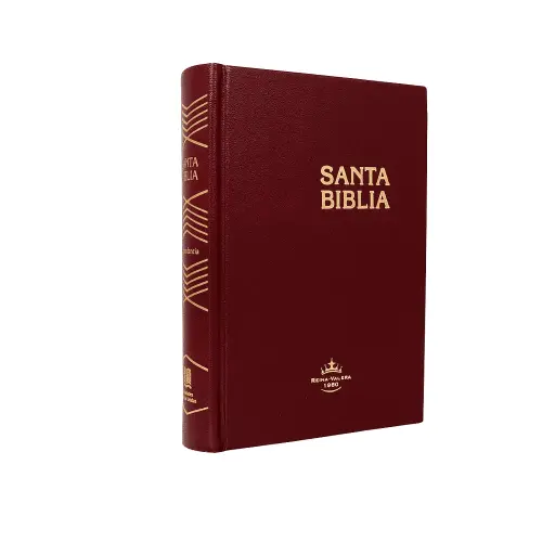 Biblia Reina Valera 1960 Chica Letra Chica Tapa Dura Vino [RVR043c]