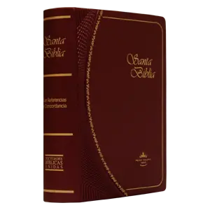 Biblia Reina Valera 1960 Tamaño Bolsillo Letra Chica Vinil Vino Ocean [RVR022c]