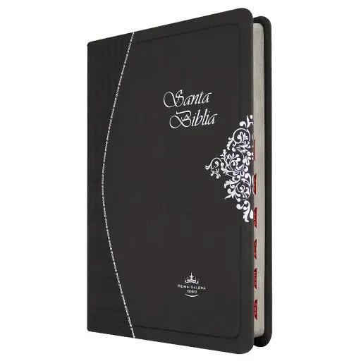 Biblia Reina Valera 1960 Mediana Imitación Piel Neat Gris [RVR065cTI]
