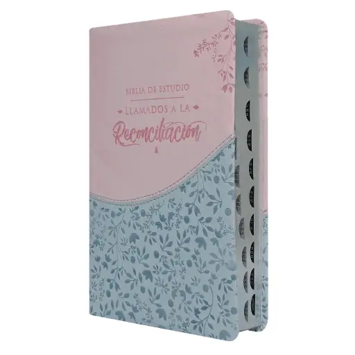 Biblia de Estudio Reconciliación Reina Valera 1960 Mediana Letra Grande Imitación Piel Azul Rosado [RVR065EETILG]