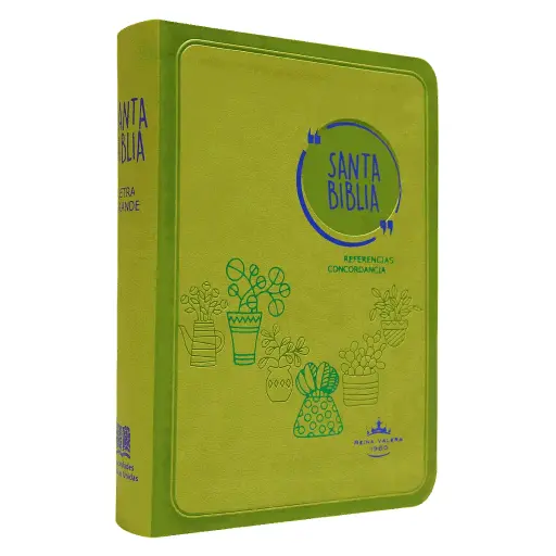 Biblia Reina Valera 1960 Mediana Letra Grande Imitación Piel Verde [RVR045cLG GA]