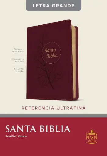 Santa Biblia RVR60, Ciruela, Edición de referencia ultrafina, letra grande