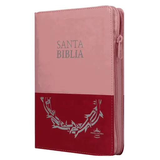 Biblia Reina Valera 1960 Mediana Letra Grande Imitación Piel Rosa Duotono [RVR066cLGPJRTIZABS]