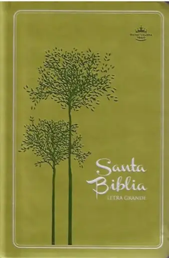 Biblia RVR1960 Verde Claro Imitación Piel