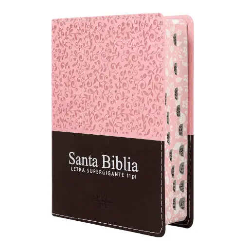 Biblia Reina Valera 1960 Chica Letra Grande Imitación Piel Rosa Marrón [RVR046cLSGiPJRTI]